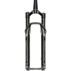 RockShox Reba RL Suspension Fork - 29", 120 mm, 15 x 110 mm, 51 mm Offset, Black, OneLoc Remote, A9